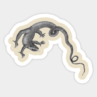 Komodo Dragon | Giant Lizard Reptile Sticker